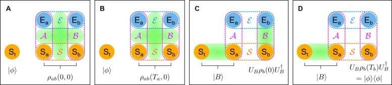 Phases of noisy quantum teleportation