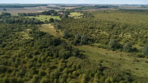 Fisher German Ariel view of Strawberry Hill nature reserve