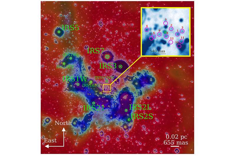 Small, high-velocity stars surround the supermassive black hole Sgr A* like a swarm of bees